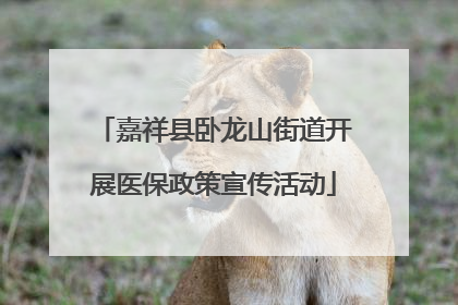 嘉祥县卧龙山街道开展医保政策宣传活动
