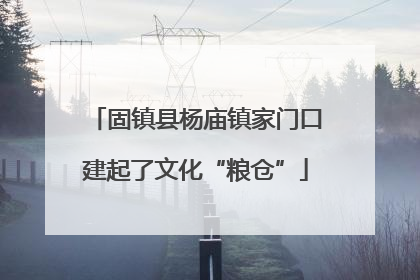 固镇县杨庙镇家门口建起了文化“粮仓”