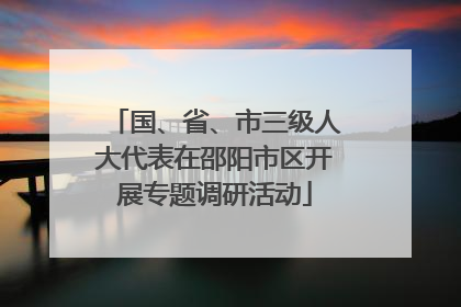 国、省、市三级人大代表在邵阳市区开展专题调研活动