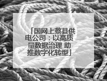国网上蔡县供电公司：以高质量数据治理 助推数字化转型