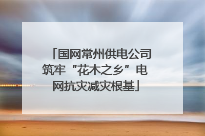 国网常州供电公司筑牢“花木之乡”电网抗灾减灾根基