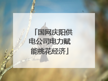 国网庆阳供电公司电力赋能桃花经济