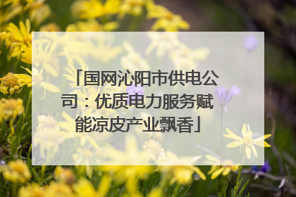 国网沁阳市供电公司：优质电力服务赋能凉皮产业飘香