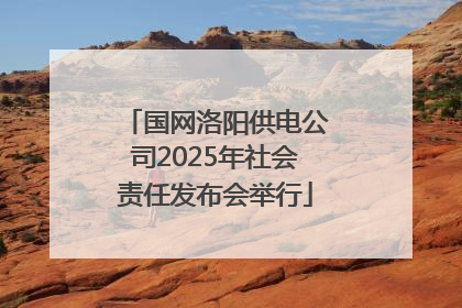 国网洛阳供电公司2025年社会责任发布会举行