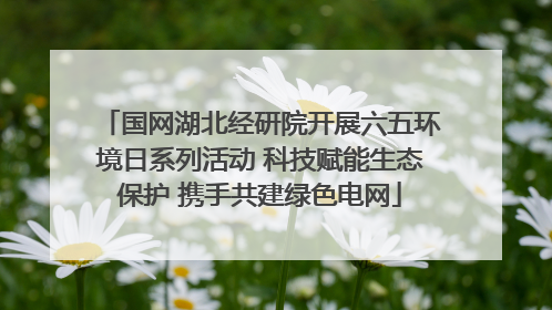 国网湖北经研院开展六五环境日系列活动 科技赋能生态保护 携手共建绿色电网