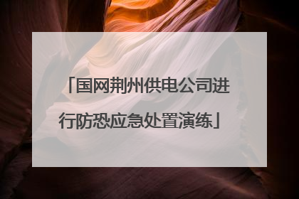 国网荆州供电公司进行防恐应急处置演练