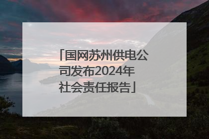 国网苏州供电公司发布2024年社会责任报告
