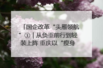 国企改革“头雁领航”③｜从负重前行到轻装上阵 重庆以“瘦身”谋“健体”