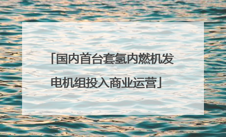 国内首台套氢内燃机发电机组投入商业运营