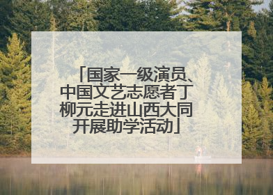 国家一级演员、中国文艺志愿者丁柳元走进山西大同开展助学活动
