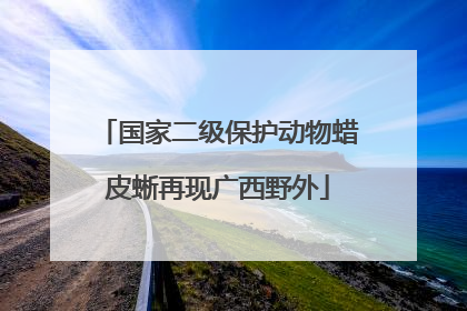 国家二级保护动物蜡皮蜥再现广西野外