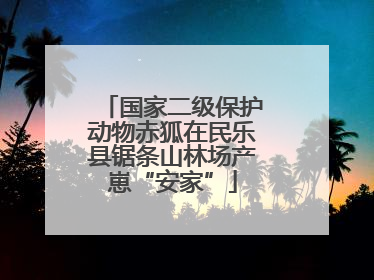 国家二级保护动物赤狐在民乐县锯条山林场产崽“安家”