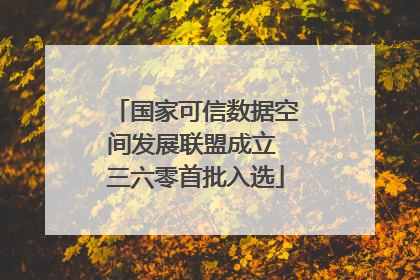 国家可信数据空间发展联盟成立 三六零首批入选