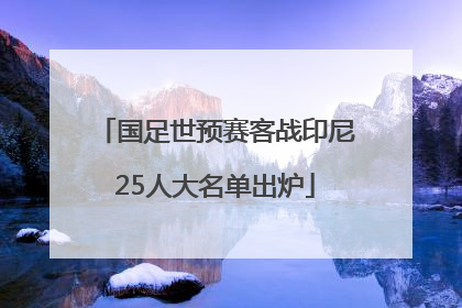 国足世预赛客战印尼25人大名单出炉