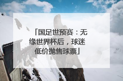 国足世预赛：无缘世界杯后，球迷低价抛售球票