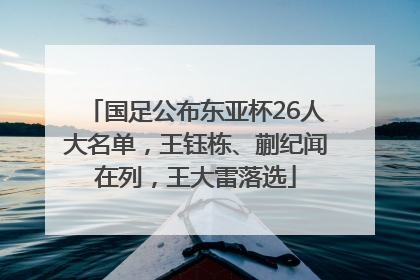 国足公布东亚杯26人大名单，王钰栋、蒯纪闻在列，王大雷落选