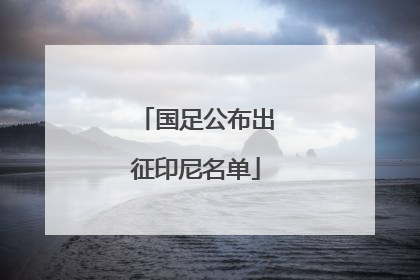 国足公布出征印尼名单