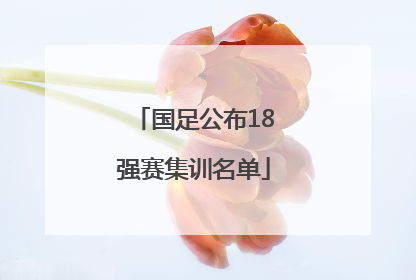 国足公布18强赛集训名单