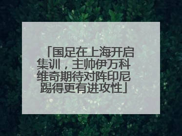 国足在上海开启集训，主帅伊万科维奇期待对阵印尼踢得更有进攻性