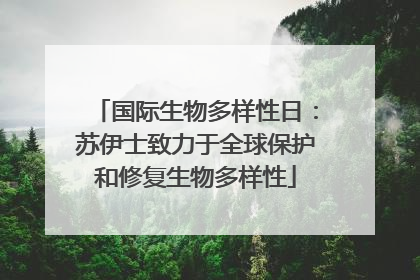 国际生物多样性日：苏伊士致力于全球保护和修复生物多样性