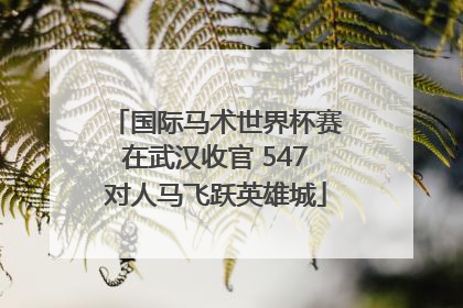 国际马术世界杯赛在武汉收官 547对人马飞跃英雄城
