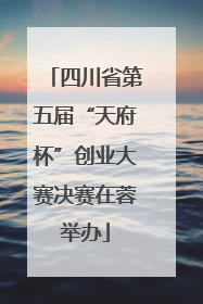 四川省第五届“天府杯”创业大赛决赛在蓉举办