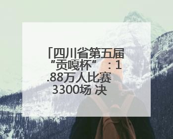 四川省第五届“贡嘎杯”：1.88万人比赛3300场 决出26组冠军