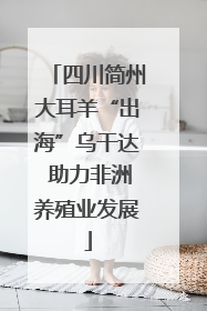 四川简州大耳羊“出海”乌干达 助力非洲养殖业发展
