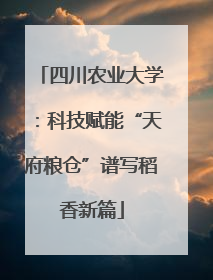 四川农业大学：科技赋能“天府粮仓”谱写稻香新篇