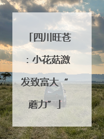 四川旺苍：小花菇激发致富大“蘑力”