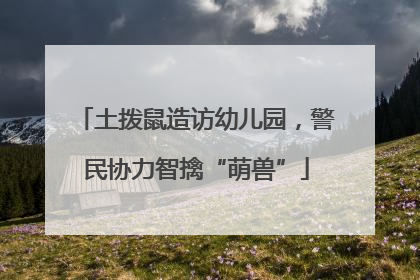 土拨鼠造访幼儿园，警民协力智擒“萌兽”