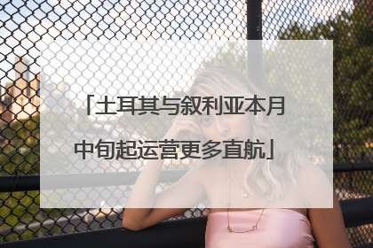 土耳其与叙利亚本月中旬起运营更多直航