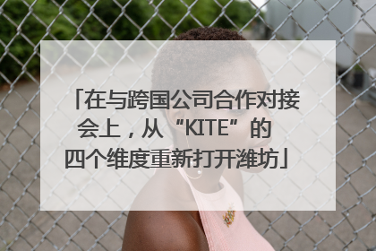 在与跨国公司合作对接会上，从“KITE”的四个维度重新打开潍坊