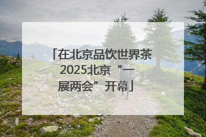 在北京品饮世界茶 2025北京“一展两会”开幕