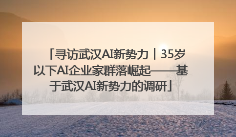 寻访武汉AI新势力︱35岁以下AI企业家群落崛起——基于武汉AI新势力的调研