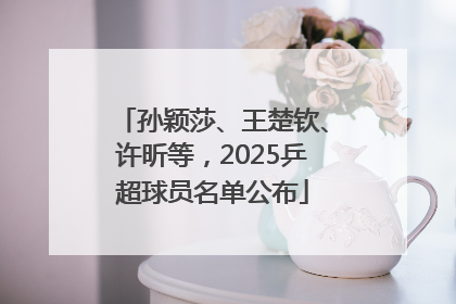 孙颖莎、王楚钦、许昕等，2025乒超球员名单公布