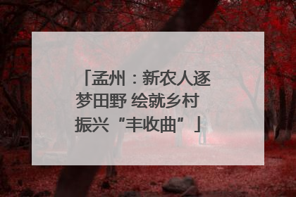孟州：新农人逐梦田野 绘就乡村振兴“丰收曲”