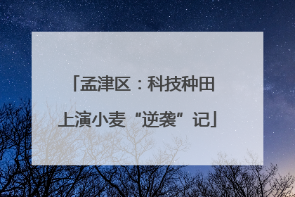 孟津区：科技种田 上演小麦“逆袭”记
