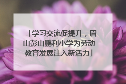 学习交流促提升，眉山彭山鹏利小学为劳动教育发展注入新活力