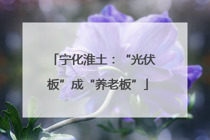 宁化淮土：“光伏板”成“养老板”
