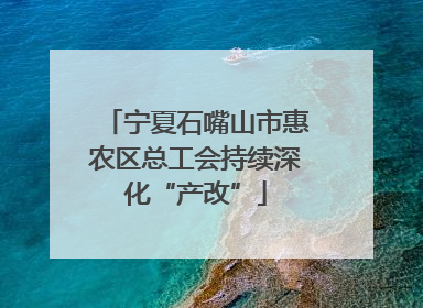 宁夏石嘴山市惠农区总工会持续深化“产改”