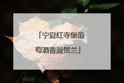 宁夏红寺堡葡萄酒香漫贺兰