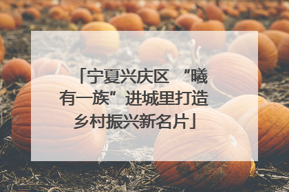宁夏兴庆区 “曦有一族”进城里打造乡村振兴新名片