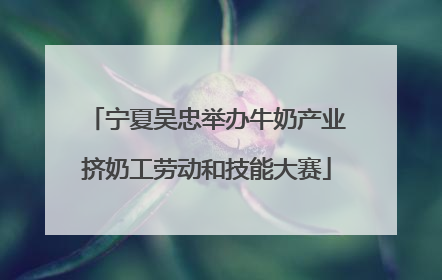 宁夏吴忠举办牛奶产业挤奶工劳动和技能大赛