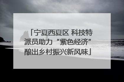 宁夏西夏区 科技特派员助力“紫色经济”酿出乡村振兴新风味