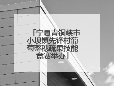 宁夏青铜峡市小坝镇先锋村葡萄整穗疏果技能竞赛举办