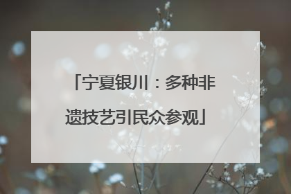 宁夏银川：多种非遗技艺引民众参观