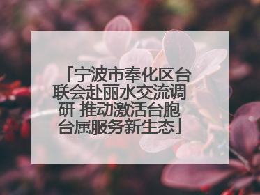 宁波市奉化区台联会赴丽水交流调研 推动激活台胞台属服务新生态