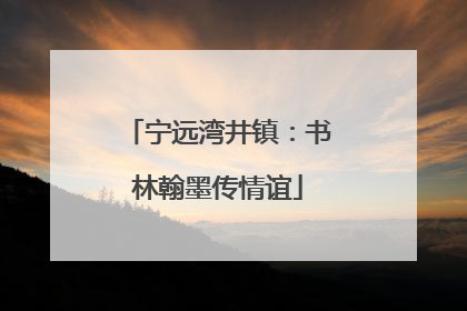 宁远湾井镇：书林翰墨传情谊