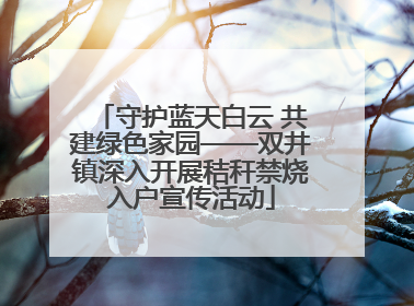 守护蓝天白云 共建绿色家园——双井镇深入开展秸秆禁烧入户宣传活动